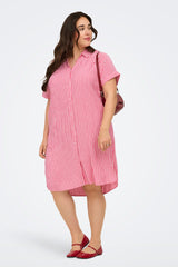 Only Carmakoma Penna shirt mini dress