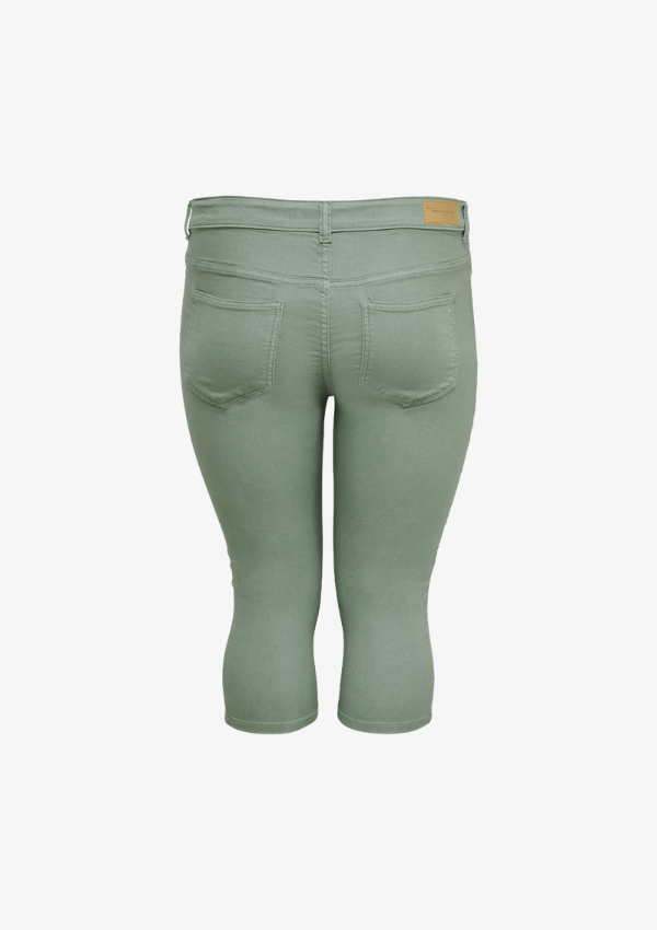 ONLY CARMAKOMA SARAH SKINNY KNICKERS